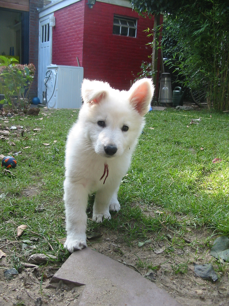 Title text of the image Alternative text of the image